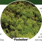  ?? ?? ‘Foxhollow’