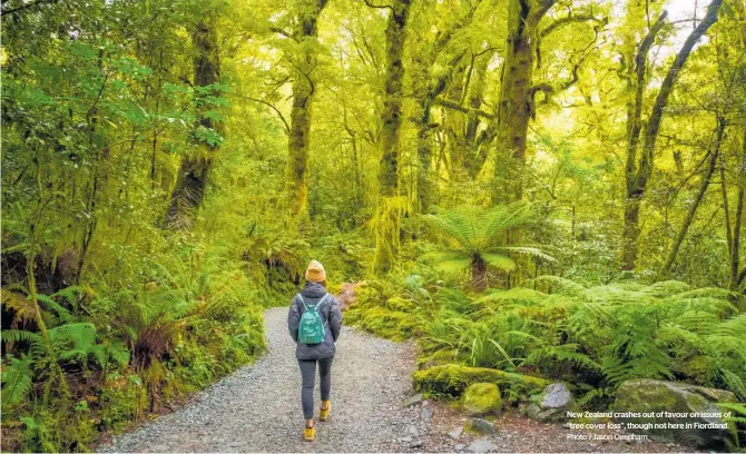  ?? Photo / Jason Oxenham ?? New Zealand crashes out of favour on issues of “tree cover loss”, though not here in Fiordland.