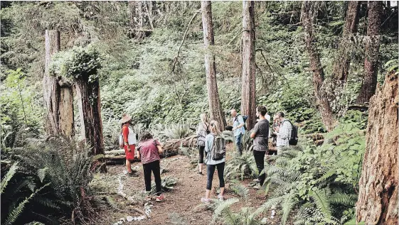  ?? CHRIS THORN PHOTOGRAPH­Y THE CANADIAN PRESS ?? In both photos, Robert Dennis Junior leads tours of the area. Among other things, visitors learn about significan­t plant life in the area used for cultural and medicinal purposes.