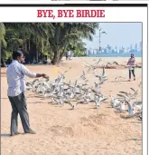  ??  ?? A man feeds seagulls at Girgaon Chowpatty.
PIC: BHUSHAN KOYANDE