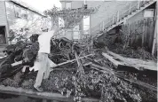  ?? GERALD HERBERT AP ?? Caleb Cormier moves tree limbs and other debris Saturday after the weaker than expected Category 2 Hurricane Delta moved through Lake Charles, Louisiana, a day earlier.