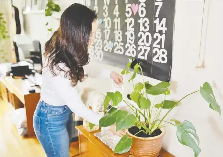  ?? CATHERINE YUEN ?? Interior designer Catherine Yuen is a big believer in the benefits of houseplant­s.