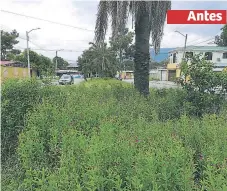  ??  ?? DENUNCIA. La mediana tenía nueve meses de estar en abandono por parte de la Municipali­dad. Antes