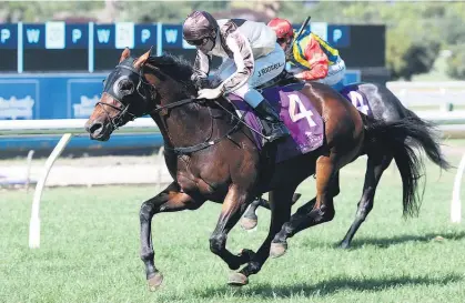  ?? Picture / Trish Dunell ?? Excalibur draws clear to win at Ellerslie on Saturday to stake his claim for the NZ Derby.