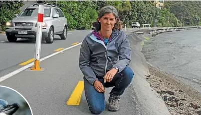  ??  ?? Sally Bain is worried a shared pathway planned for Eastbourne is bad news for little blue penguins, already having to deal with cars and the loss of habitat.