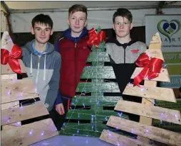  ??  ?? Ciaran McCarthy, Aaron Ludgate, and Anthony Kane from Coláiste Mhuire showcasing their mini company ‘Crann Nollaig’.