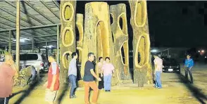  ?? MANAGER ONLINE. ?? An artist’s decision to fell a 143-year-old mahad tree in Krabi to make artwork has stirred up debate online.