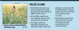  ?? HT FILE ?? Smog reduces photosynth­esis affecting crops.