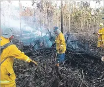  ?? LUIS FELIPE VARELA/ EXPRESO ?? Acto. Con 20 bomberos y 2 motobombas se logró controlar las llamas.