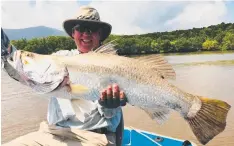  ?? (Innisfail) is producing barramundi to 85cm along with some nice mangrove jacks.
Maria Creek, Hull River, Tully River and the Murray River have all seen barra and mangrove jacks caught on lures, while Hinchinbro­ok Channel has really fired up.
The channe ?? BIG PRIZE: This 88cm barramundi was caught in the Cairns Inlet this week on a live mud herring with All Tackle Sport Fishing.