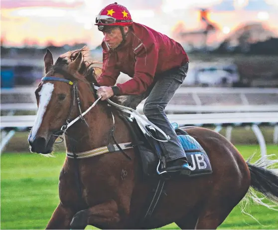  ??  ?? Queen Of Wands is headed back to stakes racing after winning her first start for the Bryan and Daniel Guy stable on the Gold Coast.