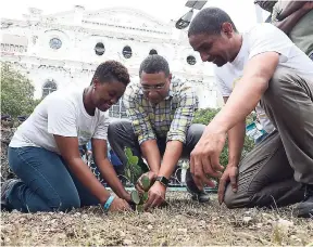  ?? PHOTOS BY RICARDO MAKYN/MULTIMEDIA PHOTO EDITOR ?? Prime Minister Andrew Holness (centre) is assisted by Nelsa English-Johnson, project coordinato­r for the Yallahs, Hope River watershed project, and Mayor Delroy Williams, as they plant a ‘Poor Man’s Orchid’ adjacent to the Ward Theatre yesterday.