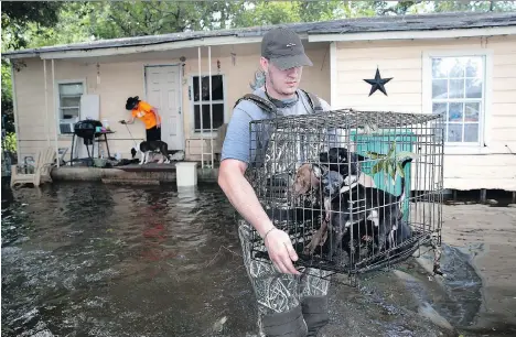  ?? SCOTT OLSON/GETTY IMAGES ?? Black Dog Rescue, a Surrey-based, non-profit group that saves dogs and cats from kill shelters in Texas, travelled to the Lone Star state following the devastatin­g flooding caused by hurricane Harvey, which stranded thousands of dogs and killed...