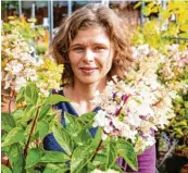  ?? ?? Welche Quitte soll es sein – Busch, Halbstamm oder Hochstamm? Gartenexpe­rtin Claudia Taeger und Gärtnermei­ster Dieter Schlereth geben Tipps zur Herbstpfla­nzung.