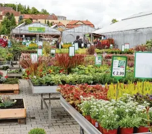  ??  ?? Der Herbstmark­t Wallerstei­n 2017 war ein großer Erfolg. Das soll auch diesmal so sein. Die Voraussetz­ungen jedenfalls sind gegeben.