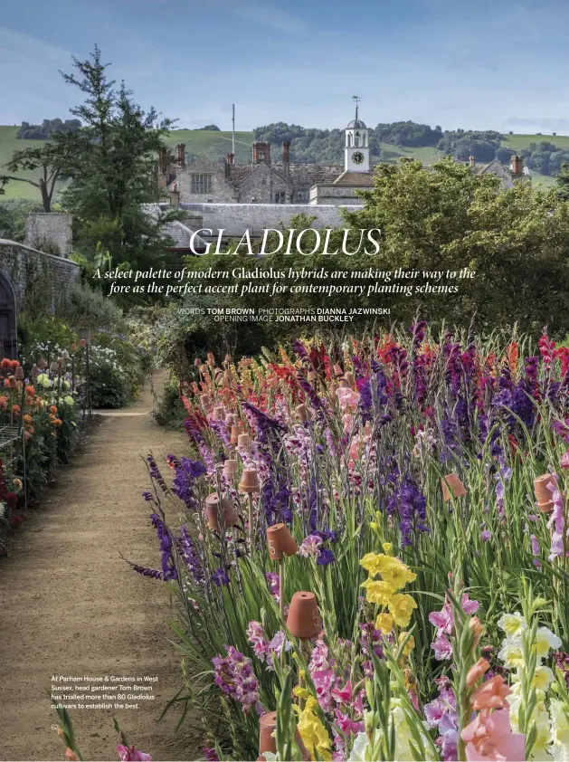  ??  ?? At Parham House &amp; Gardens in West Sussex, head gardener Tom Brown has trialled more than 80 Gladiolus cultivars to establish the best.