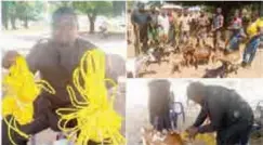  ??  ?? Daniel Msughter Ukpera, a local politician in Benue State, set the social media wagging after he donated bundles of ropes to Imande Akpu and Tse-Chagu communitie­s in Makurdi to tie their goats