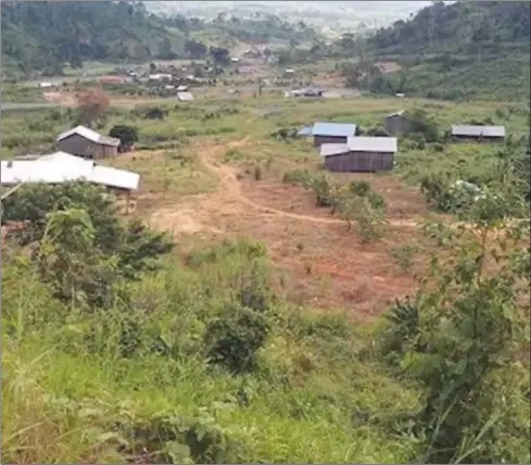  ?? SUPPLIED ?? Families were accused of clearing the forest in Phnom Samkos Wildlife Sanctuary.