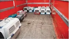  ?? Foto: Berufsfeue­rwehr Augsburg ?? In diesen Transportb­oxen wurden die Katzen von der Feuerwehr untergebra­cht und ins Tierheim gefahren.