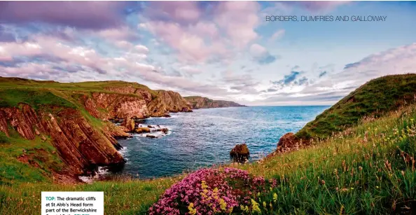  ??  ?? TOP: The dramatic cliffs at St Abb’s Head form part of the Berwickshi­re Coastal Path. BELOW: Glentrool is known as the ‘gateway to the Galloway hills’.