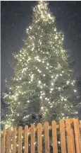  ?? The Christmas tree in Maghull was reportedly attacked by vandals ??