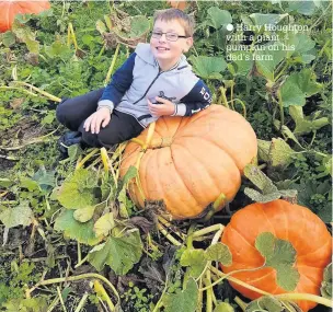  ?? Harry Houghton with a giant pumpkin on his dad’s farm ??