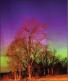  ??  ?? Image of the aurora in Harrison, Michigan (US) tweeted by an eyewitness