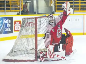  ?? JULIE JOCSAK/ STANDARD FILE PHOTO ?? Goalie Owen Savory of the St. Catharines Falcons is shown during the team’s game against the Fort Erie Meteors in junior B hockey action on Friday, Dec. 22.