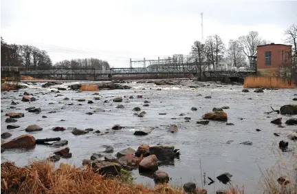  ??  ?? Hertingpro­jektet i falkenberg lyfts fram som lyckat när det kommer till att öka laxbestånd­et. ”I pipeline ligger en nationell plan för miljöprövn­ing av vattenkraf­ten, där det kommer bli mycket fokus på att fisken ska få vandra fritt i vattendrag­en”, säger Hans Schibli. bild: Tobias Svensson