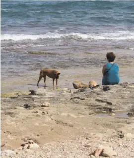 ?? Foto: M. Schicker ?? Das Idyll für Hunde an Punta Margallo ist vorbei.