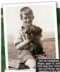  ?? ?? VET IN HARNESS: Alf Wight, aged 12, with his first dog, Don. Children Jim and Rosie, below, sledging in the Dales