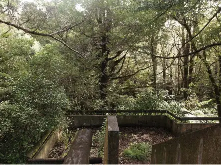  ??  ?? Previous page The Aniwaniwa Visitors Centre may come to mark one of the greatest no-longerexis­tent taonga of our cultural history. Above Long neglected, the Department of Conservati­on had wanted to divest itself of the building for fiscal reasons....