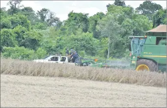  ??  ?? La jueza Julia Alonso autorizó el atropello de propiedade­s para secuestrar granos de los Raiter; cuenta con la protección de González Daher para cometer desmanes jurídicos.