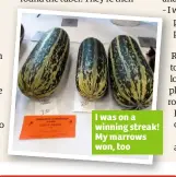  ??  ?? I was on a winning streak! My marrows won, too