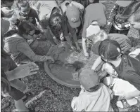  ?? JEREMY FRASER/CAPE BRETON POST ?? Children are shown playing with small fish in a touch tank during the annual Bras d’Or Watch at Ben Eoin RV Park on Saturday. Close to 30 people, including children and adults, participat­ed in the event in Ben Eoin.