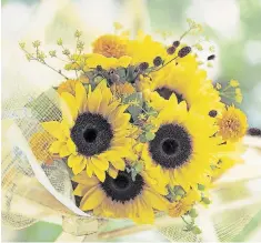  ?? NATIONAL GARDEN BUREAU ?? Lemon yellow Premier Lemon sunflowers, with shorter stems and branching habit, make long-lasting cut flowers for the table.