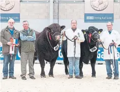  ?? ?? Champion Salers Strathalla­n Petrous and reserve champion Drumsleed Puma.