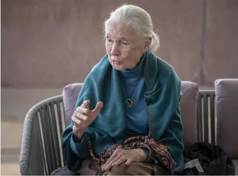  ?? Antonie Robertson/The National ?? Dr Jane Goodall urges children to ‘follow your dreams and even if people laugh at you, hang in there’