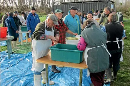  ??  ?? Volunteers at one of the salmon hatchery’s working bees.