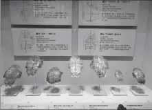  ?? WANG KAIHAO / CHINA DAILY ?? Above: Oracle bones with inscriptio­ns on them unearthed at the Yinxu Ruins.