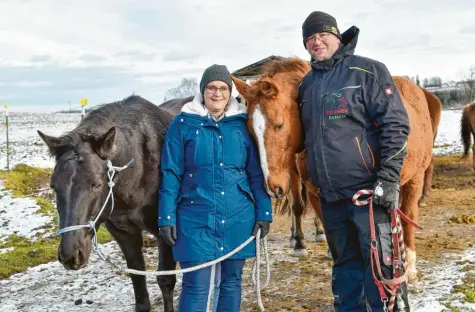  ?? Foto: Thorsten Jordan ?? Die Pferde auf der Festner‰Ranch in Wolfgrub haben zwar eine große Koppel. Trotzdem muss man ab und zu etwas Kopfarbeit mit den Pferden machen, sagen ihre Besitzer Christine Festner mit Cody (Quarterhor­se) und Manfred Festner mit Neptuno (Polopony).