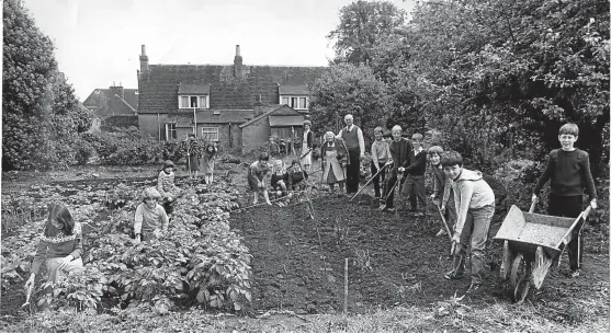  ??  ?? In April 1981, greenfinge­red youngsters at Longforgan Primary School started “overhaulin­g” old folks’ gardens. One of those who benefitted from the pupils’ enthusiasm was Mrs Margaret Ness. Here are some of the pupils hard at work in her garden.