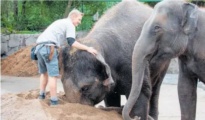  ?? Photo / Auckland Zoo ?? Burma, left, and Anjalee are set to leave Auckland Zoo later in the year.