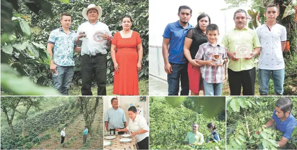  ?? FOTOS: FRANKLYN MUÑOZ ?? EMPRENDEDO­R. Con su hijo Franklin y su esposa Rubenia, Luciano Bonilla muestra el reconocimi­ento de Illy. Lleva más de 50 años de vida matrimonia­l. ORGULLO. El matrimonio Ramos Rodríguez con tres de sus cuatro hijos posan con el premio recibido en...