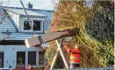  ?? Fotos: Dominik Schwemmer ?? Der Aichacher Bauhof rückt mit einem Drehleiter­wagen der Feuerwehr Aichach und einem speziellen Transportw­agen in Tandern an, um den Weihnachts­baum abzuholen. Die prächtige Tanne wird gefällt und auf den Transportw­agen gelegt. Der Autokran hebt den...