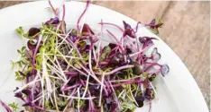  ?? Foto: Robert Günther, dpa ?? Sehen hübsch aus und sind gesund: Micro-Greens wie Kresse und RettichKei­mlinge.