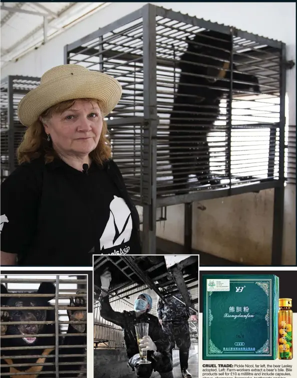  ??  ?? TORTURE: Lesley Nicol with one of the moon bears she has helped to free from the bile farm in Nanning, China