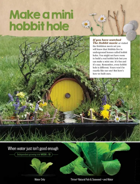  ??  ?? Kids Go Gardening - double page horizontal strip ad.pdf 1 29/09/16 6:27 pm