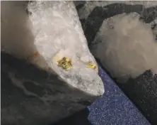  ?? Carlos Avila Gonzalez / The Chronicle ?? Gold is visible in a core sample drilled at the IdahoMaryl­and Mine by Rise Gold, which is exploring reopening the mine.