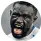 ??  ?? Leveling the playing field: Oumar Niasse was on target for Everton as they came back to draw